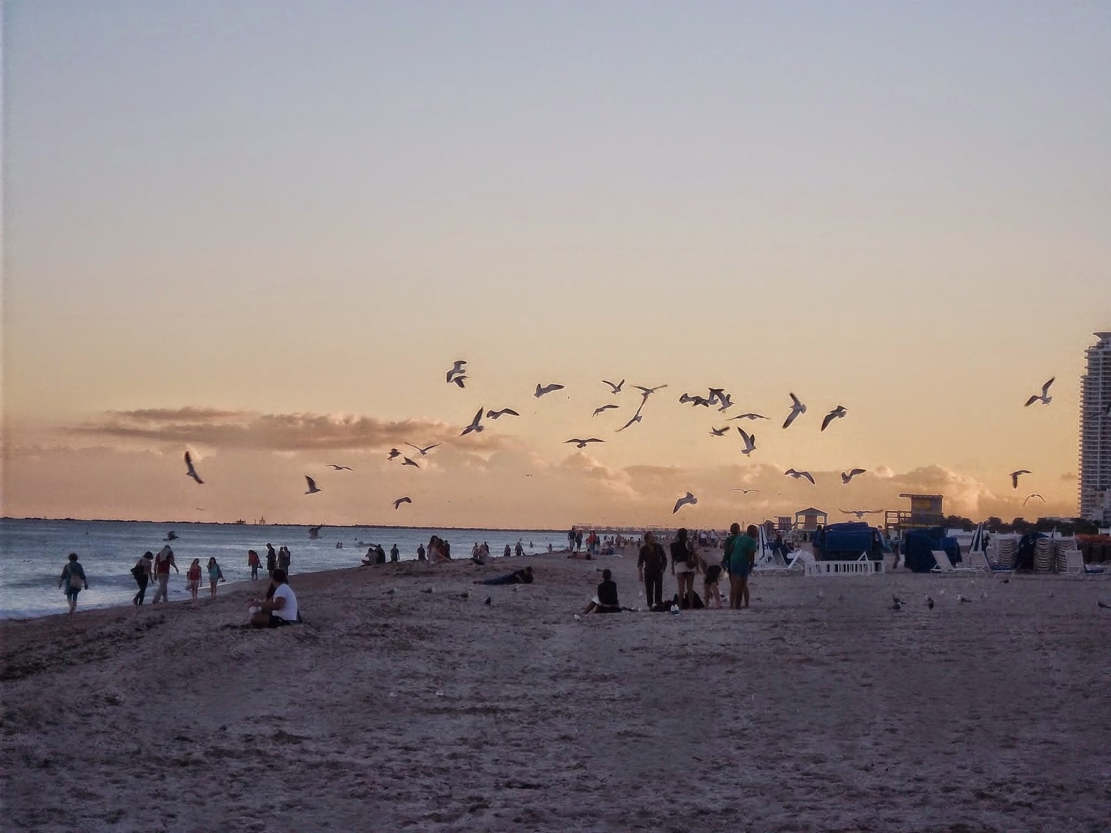 séjour à Miami