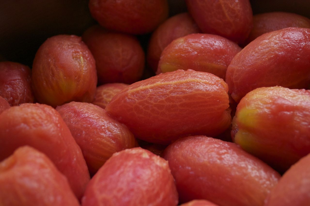 Equal Opportunity Kitchen Preserving Tomato Sauce