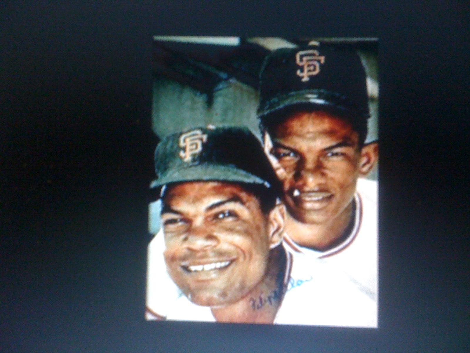 THE BLACK SOCIAL HISTORY BLACK SOCIAL HISTORY AFRODOMINICAN MAJOR