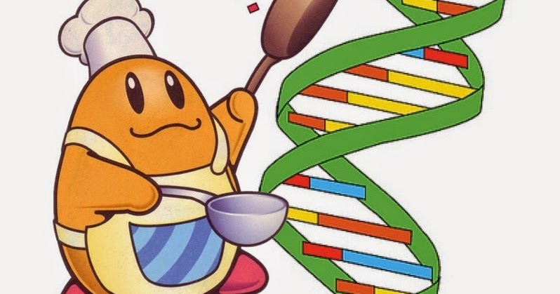 central dogma