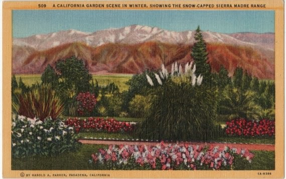 Southern California Garden Guide Basic Gardening Winter Winter Vegetable Garden In Southern California