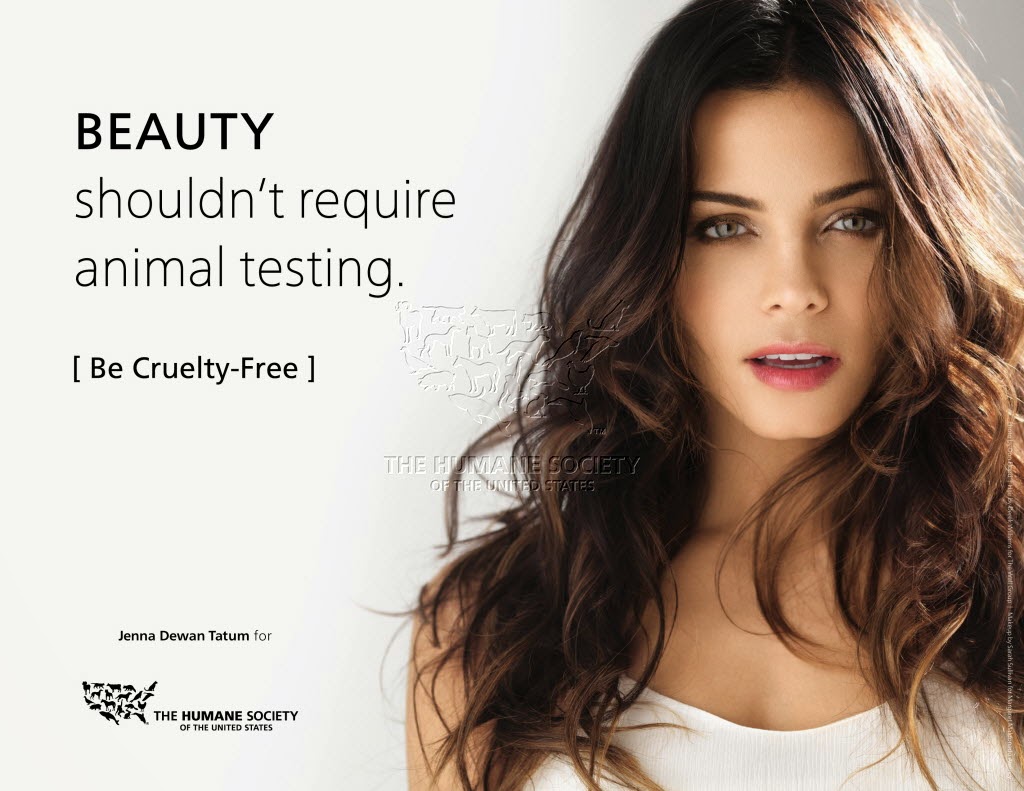 the beauty and cruelty in human How you can help end animal testing in cosmetics correctly predicts human reaction to kat von d beauty being vegan and cruelty. the beauty and cruelty in human How you can help end animal testing in cosmetics correctly predicts human reaction to kat von d beauty being vegan and cruelty.