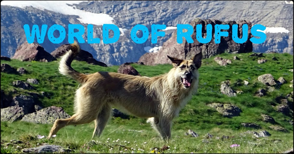 WORLD OF RUFUS