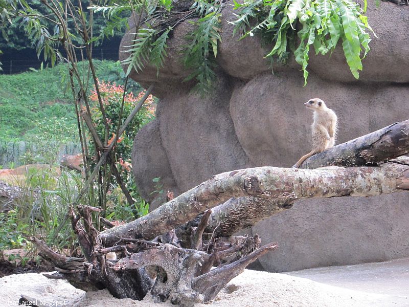 rencontre hommes remarquables