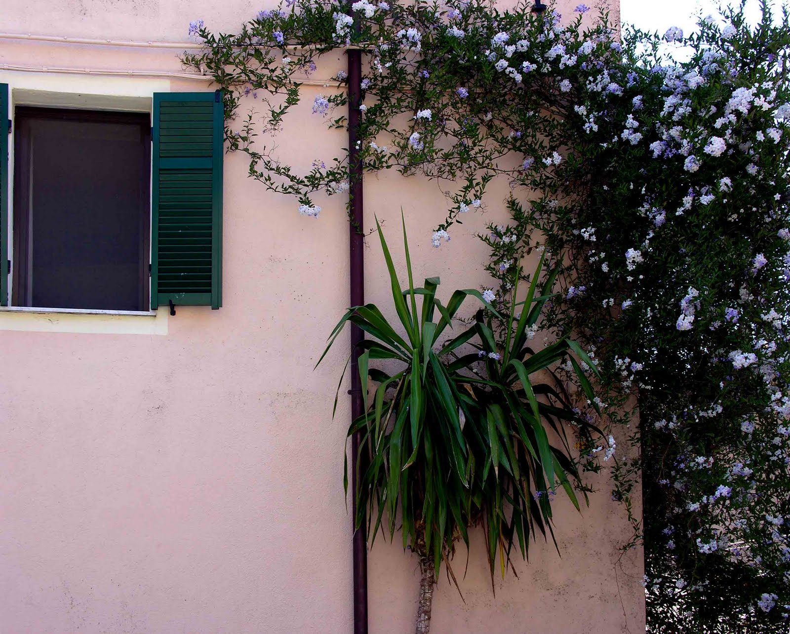 Briefe Von Der Burg August 2011