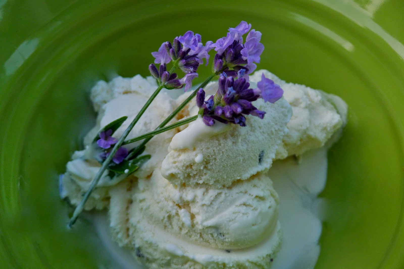 Lavender and Honey ice cream, edible flowers