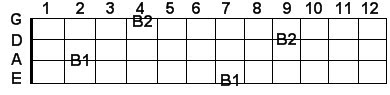 B bass guitar notes in scientific pitch notation B bass guitar notes in scientific pitch notation