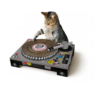 gambar kucing  main musik DJ