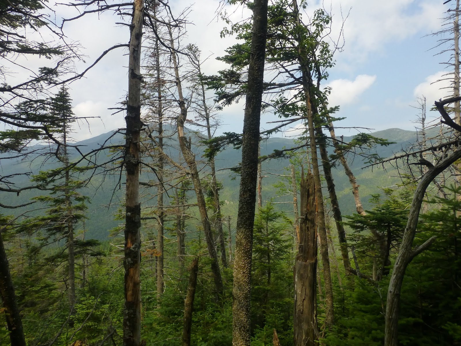 Off on Adventure Henderson Mountain (3752') High Peaks Wilderness