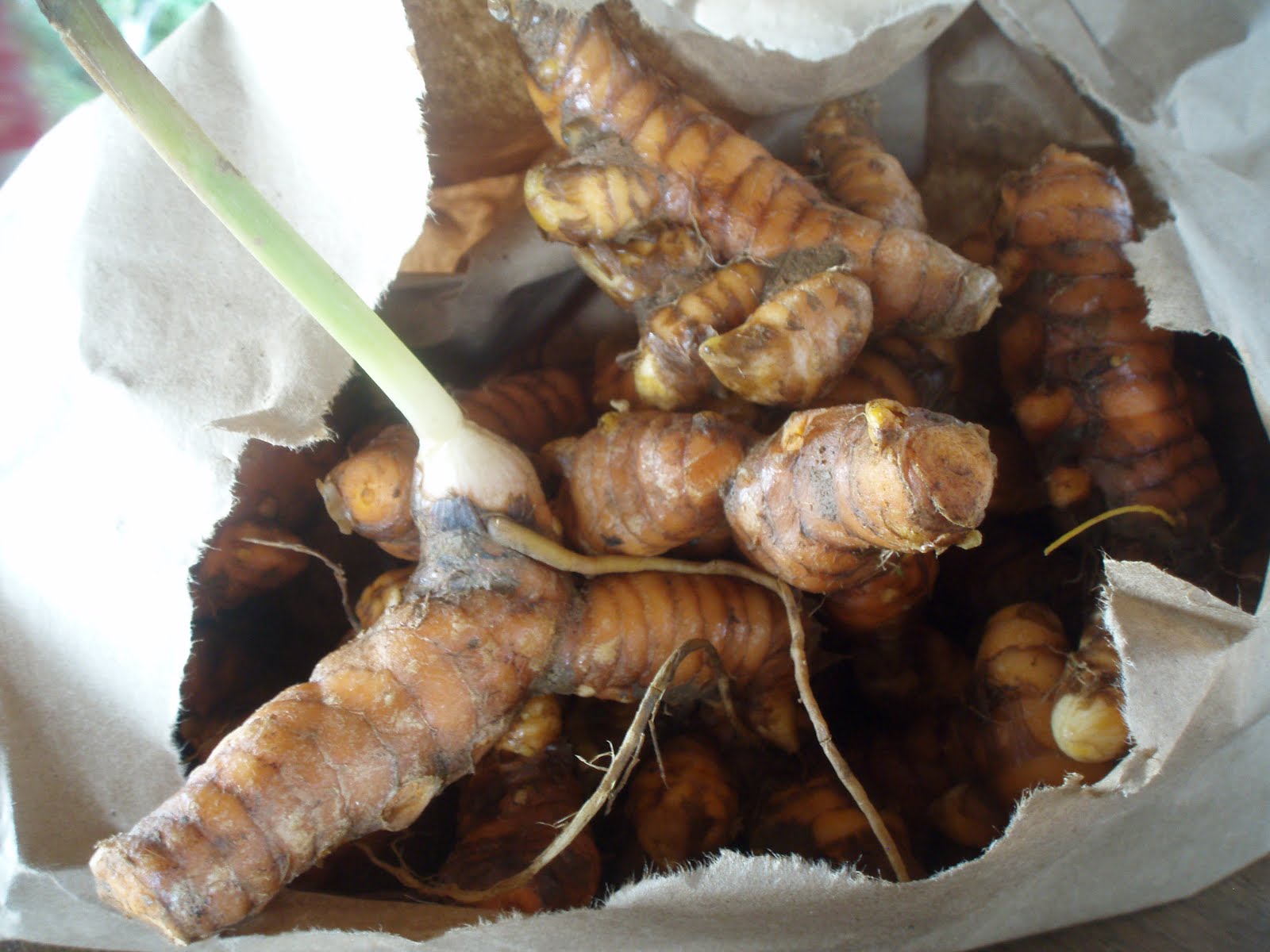 Herbal Medicine Box Sacred Plant Medicine Journey Costa Rica