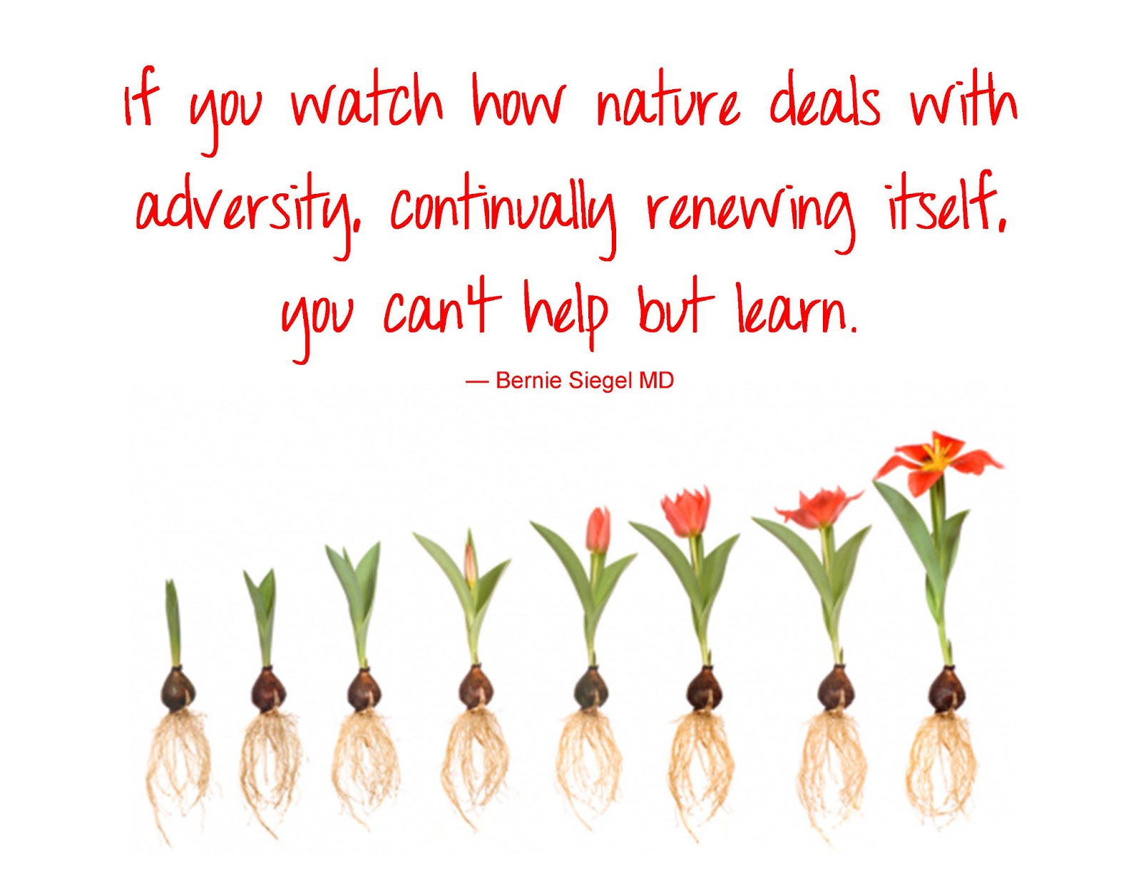 Spring Is Coming Picture Quotes For Facebook. QuotesGram