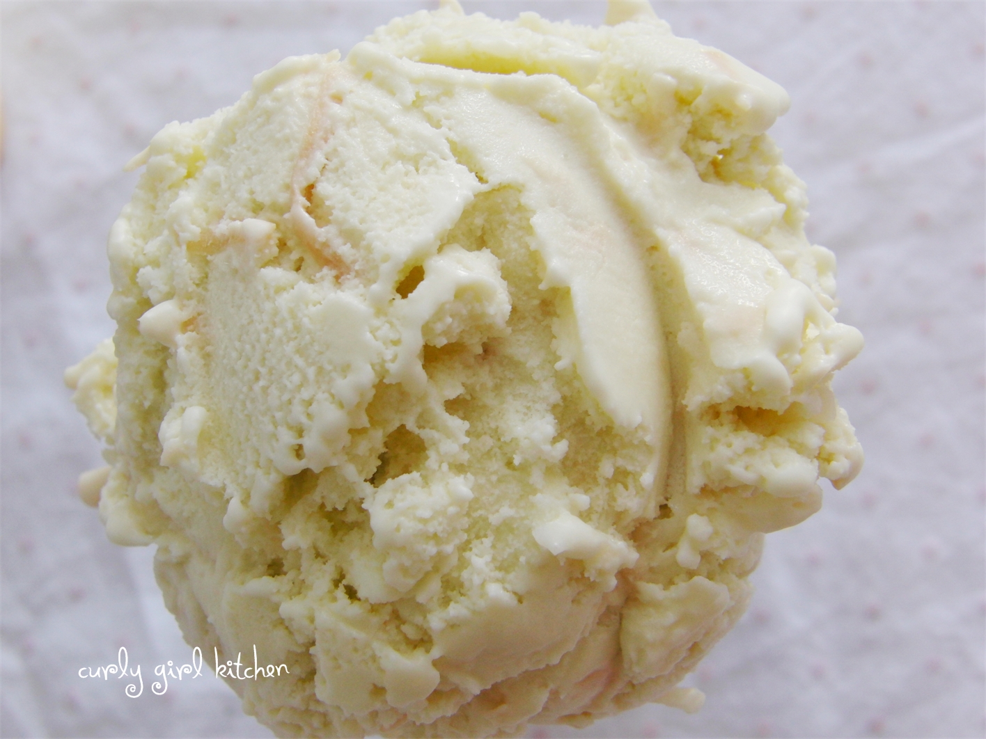 Curly Girl Kitchen Toasted Coconut Ice Cream