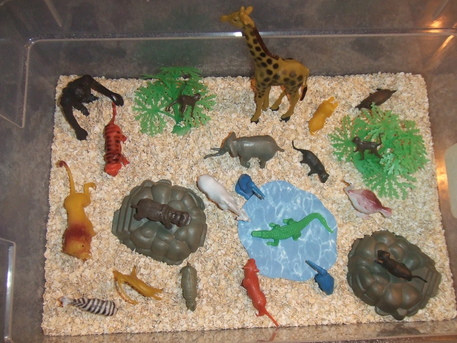 Zoo Sensory Activities For Preschoolers at Ricardo Ball blog