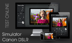 Simulator DSLR
