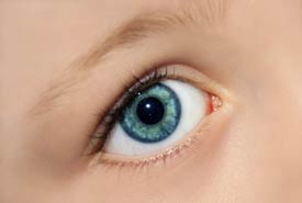 حقائق عن عملية الليزر لتصحيح عيوب الإبصار Lasik+%281%29