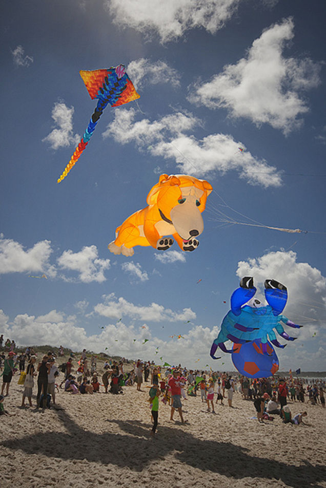 Just Watching the Wheels Go Round Brunswick Heads Kites & Bikes