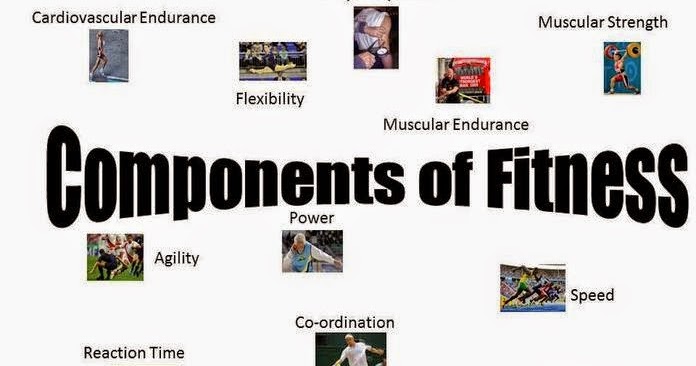 Physical fitness clubs: Physical fitness definition and component
