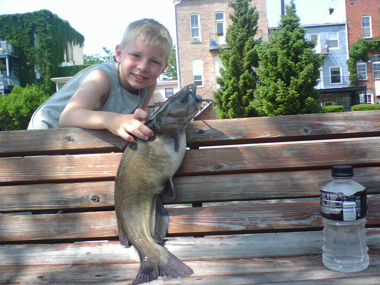 http://2.bp.blogspot.com/-L0AmQcsA4ec/Teqnyi-1fvI/AAAAAAAAAgU/8FgJSFuvycg/s1600/24-inch-catfish060411.jpg