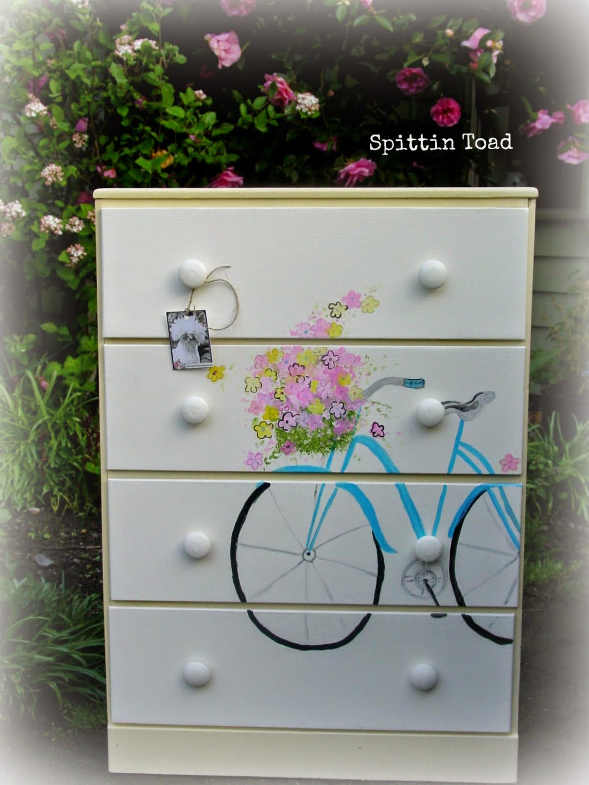 Bicycle Dresser