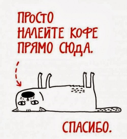 картинки кот с кофе онлайн картинки кот с кофе
