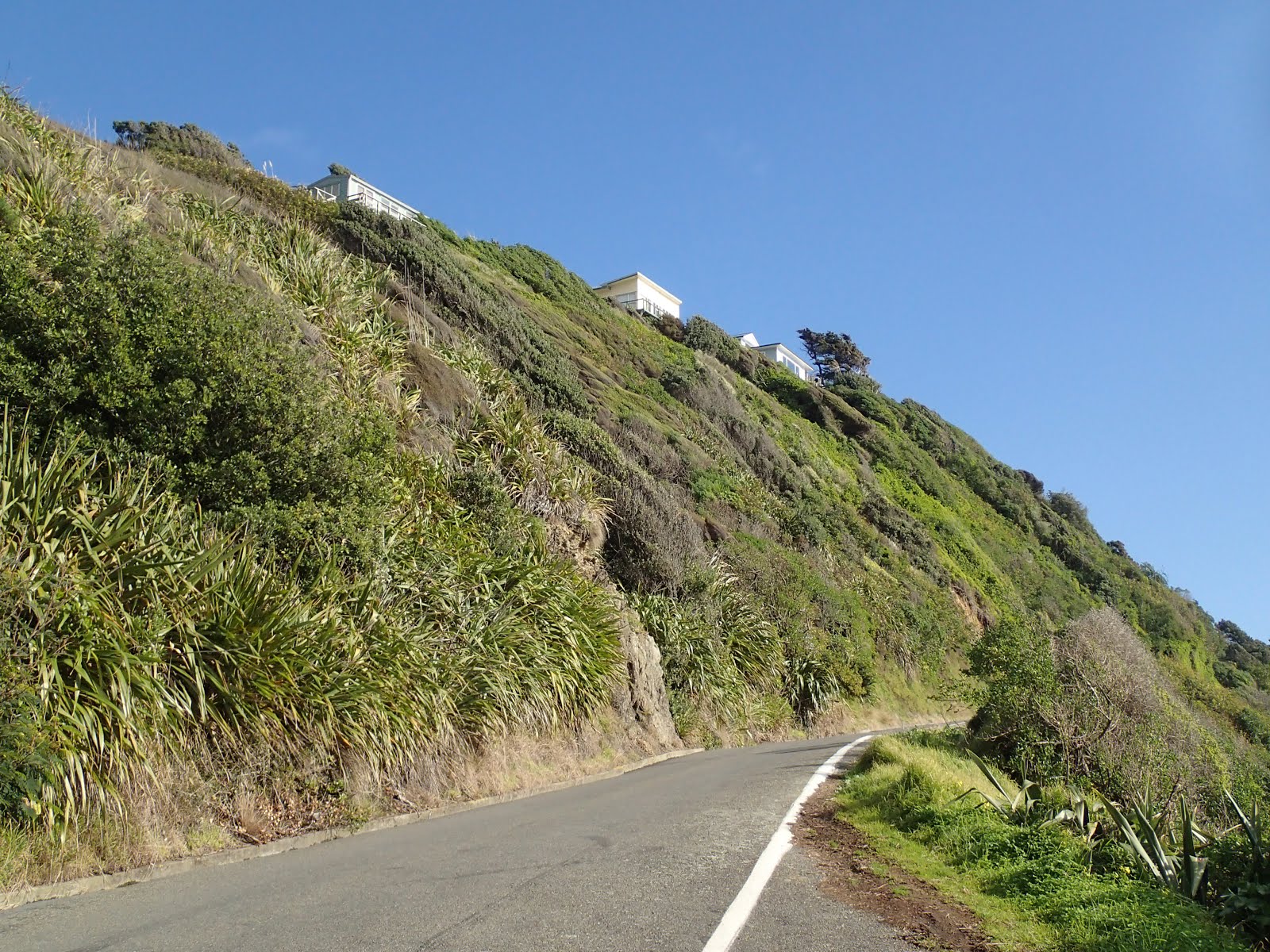 Road down to Pukerua Bay