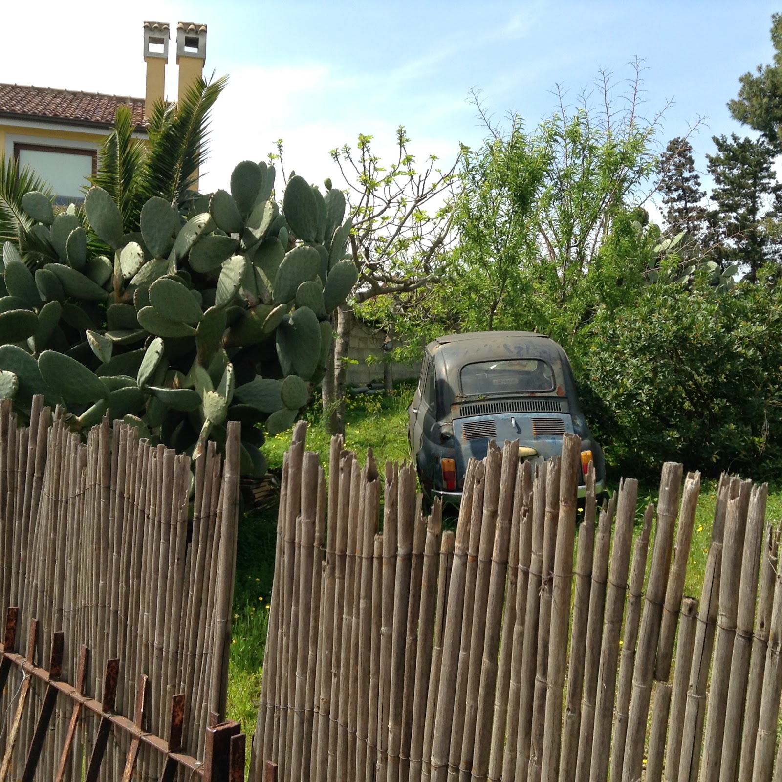 Old Fiat 500, Opuntia, & Reed fence in Barraccamanna, Sardinia Old Fiat 500, Opuntia, & Reed fence in Barraccamanna, Sardinia