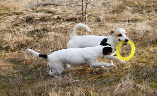 Running back with it, she's intercepted by Louise Running back with it, she's intercepted by Louise