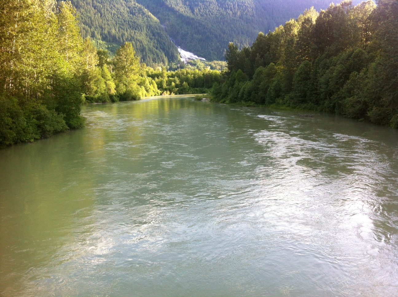Pemberton Fish Finder, BC Fishing Reports, Whistler, Pemberton