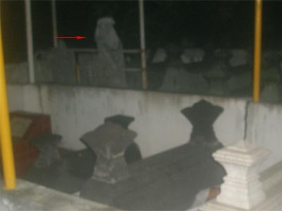 FOTO PENAMPAKAN HANTU