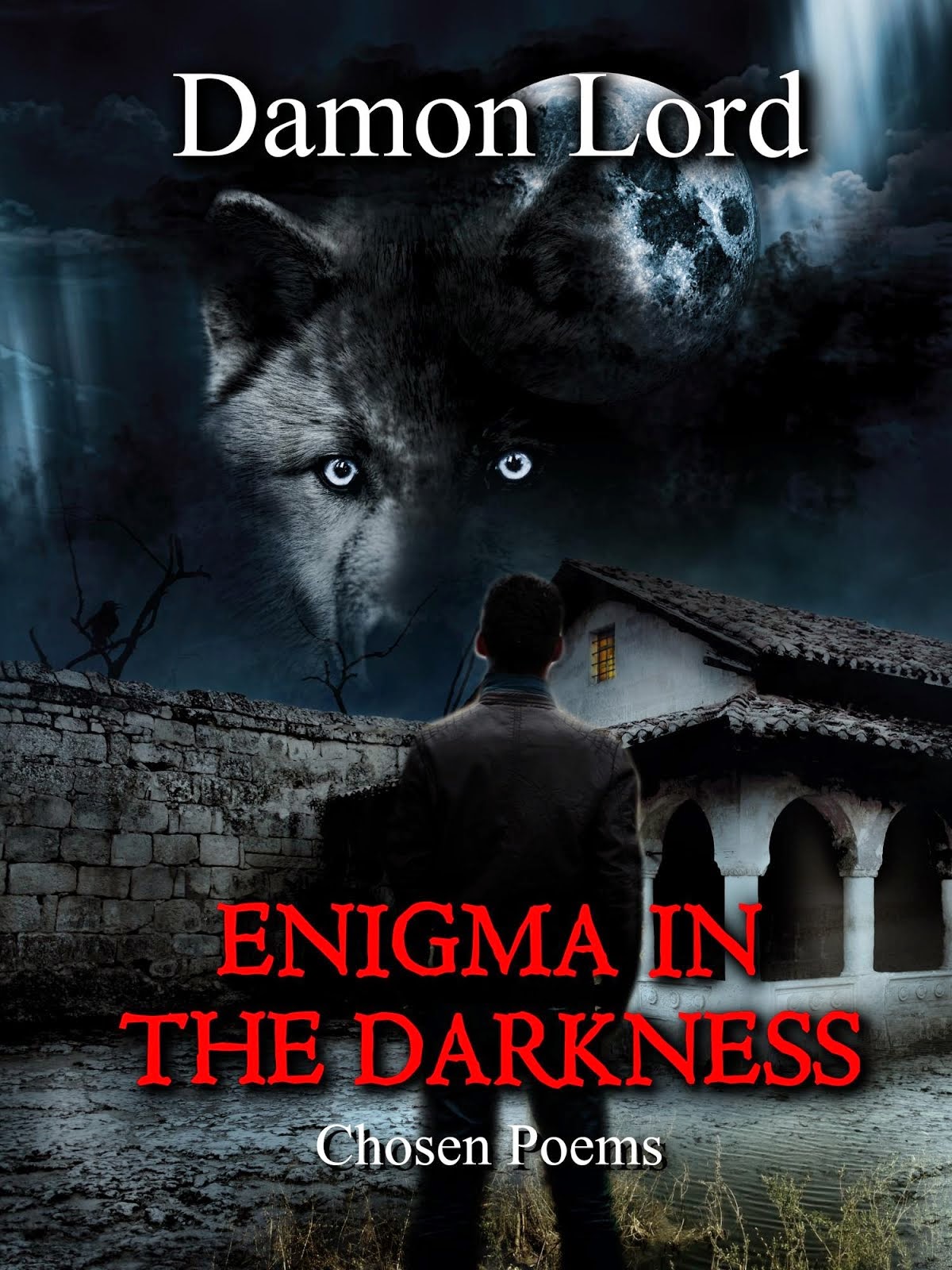 Enigma in the Darkness