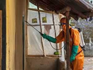 Минздрав исключил возможность вспышки лихорадки Эбола в России