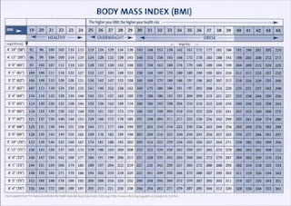 BMI Chart Free bmi chart download