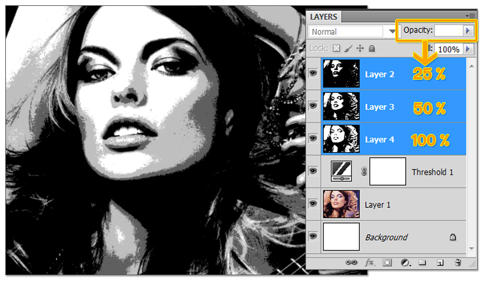 pakky105 How to make POP ART