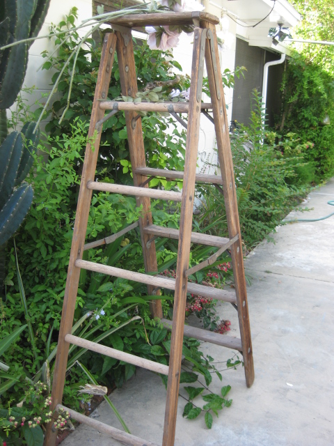 old ladder
