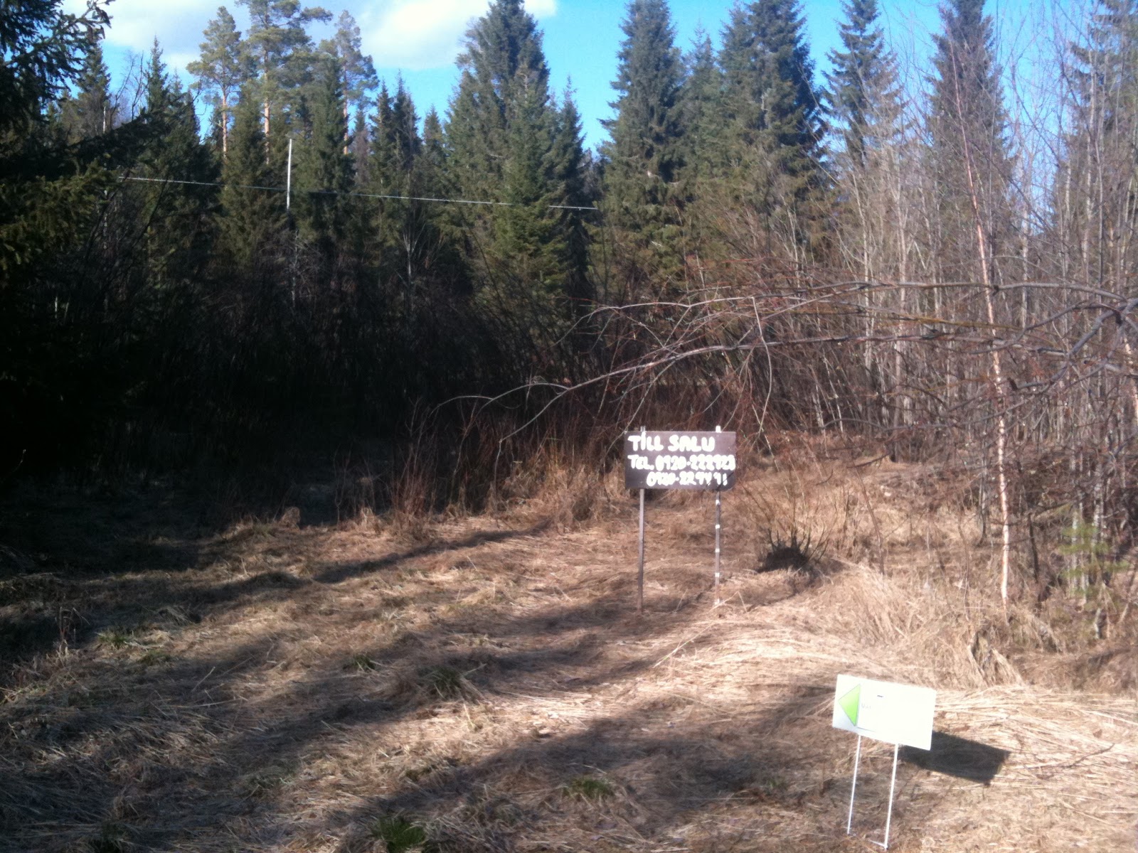 Beas tankar, Ã
sikter & funderingar: maj 2011
