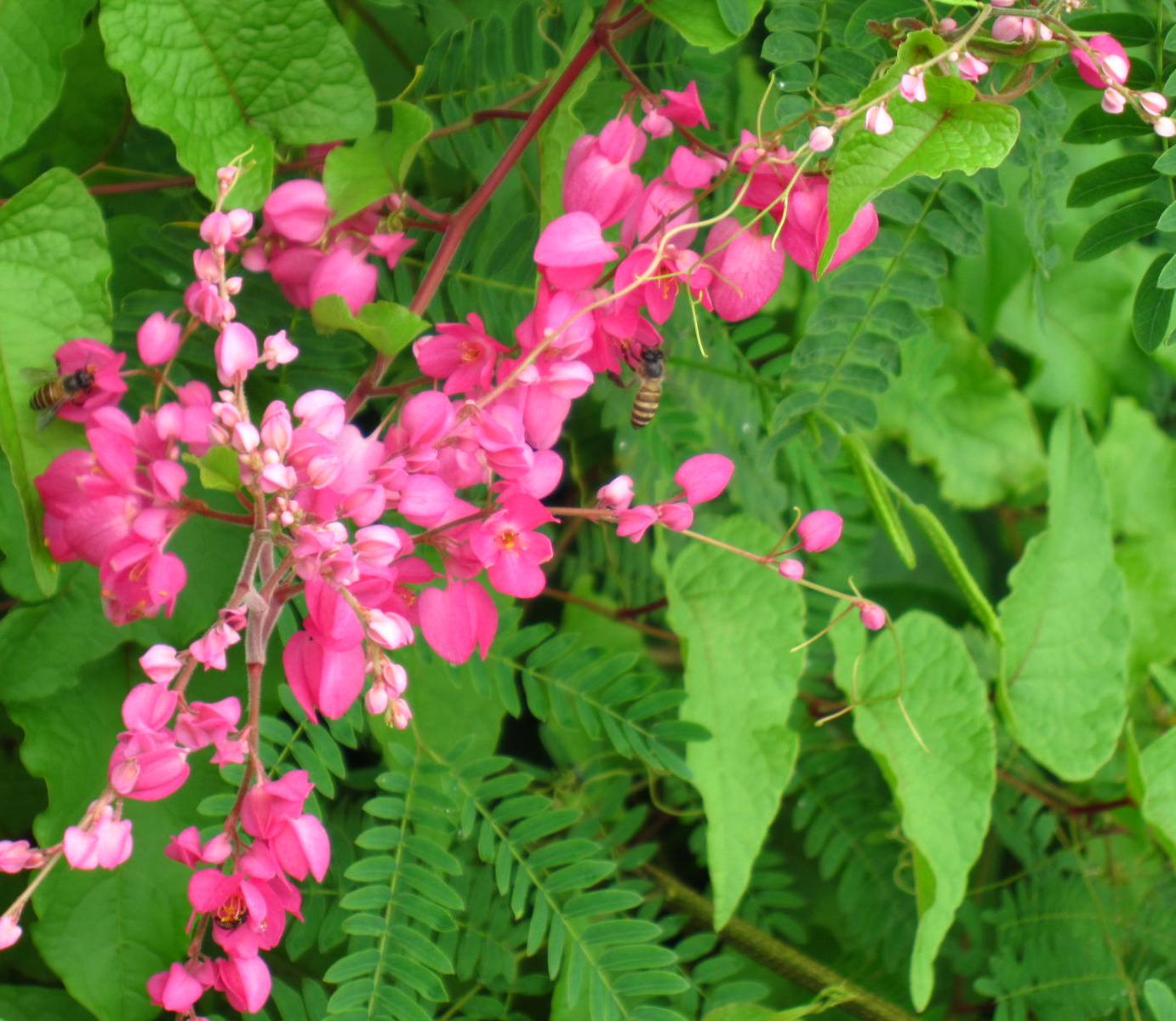 Live in the Moment Cadena de Amor