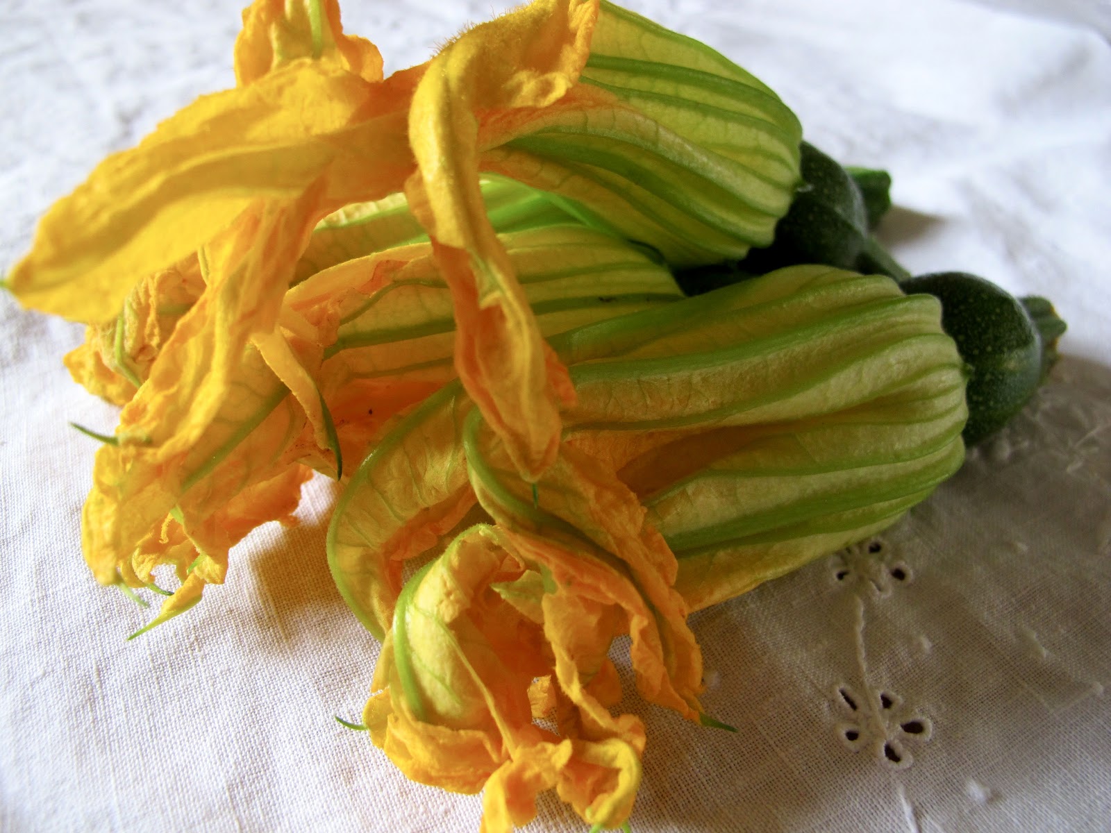 oh so buttery Stuffed Courgette Flowers