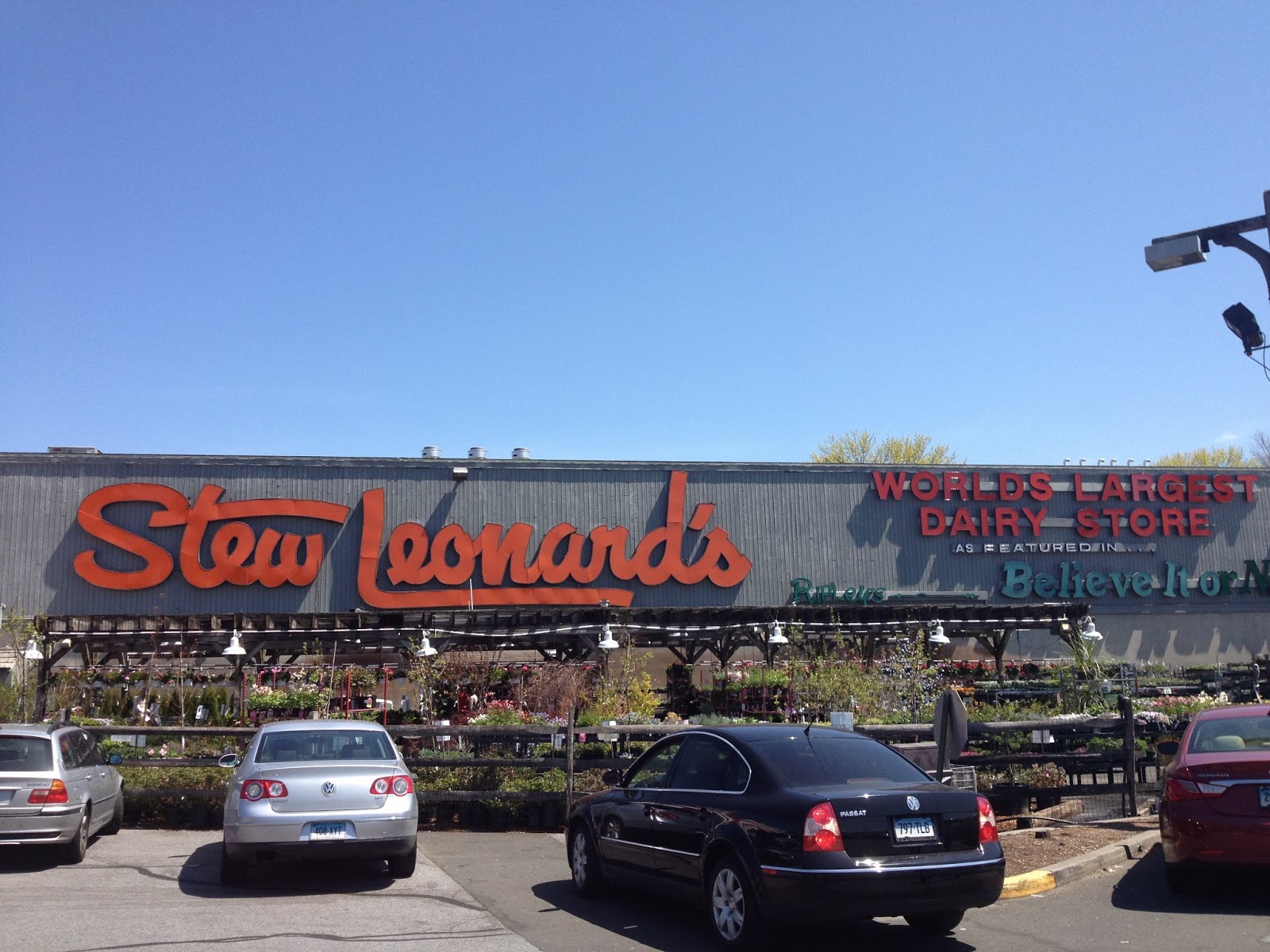 Sammi's Blog of Life My First Experience at Stew Leonard's+Giveaway