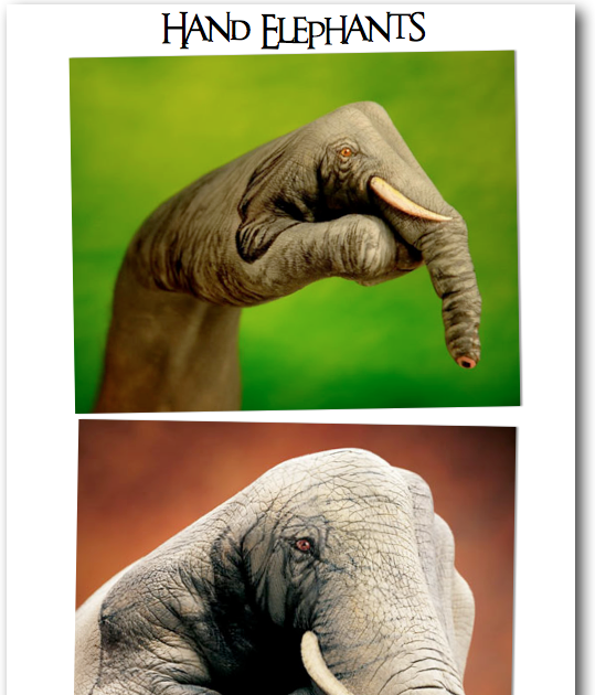 I Spy Animals The amazing hand elephant