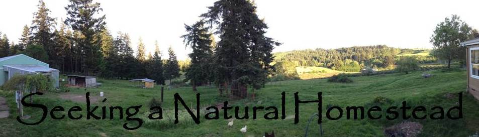 Seeking a Natural Homestead