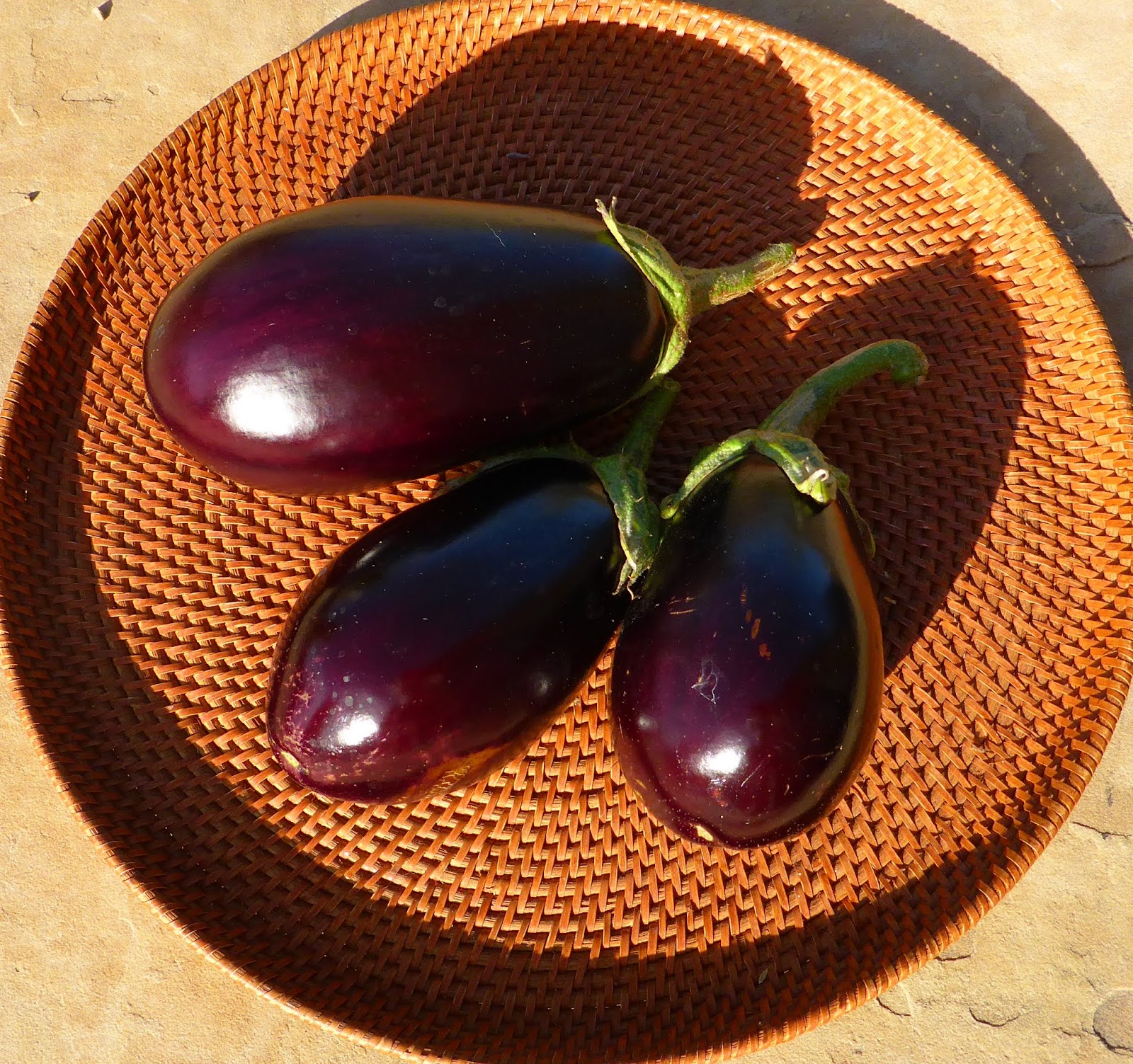 From Seed To Table Harvest Monday October 19, 2015