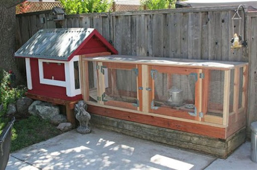 contoh gambar model rumah kandang ayam desain unik minimalis modern dari kayu terbaru 2015/2016 contoh gambar model rumah kandang ayam desain unik minimalis modern dari kayu terbaru 2015/2016