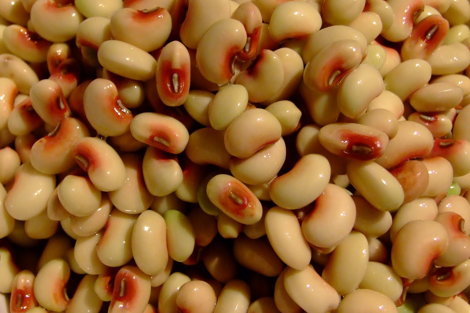 Windmill Market Recipe Files from September Produce Club