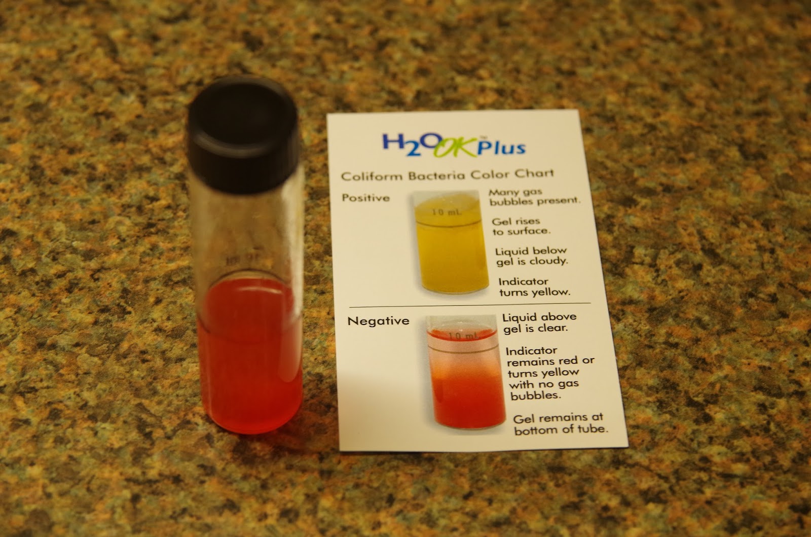 H2o Ok Plus Coliform Bacteria Color Chart