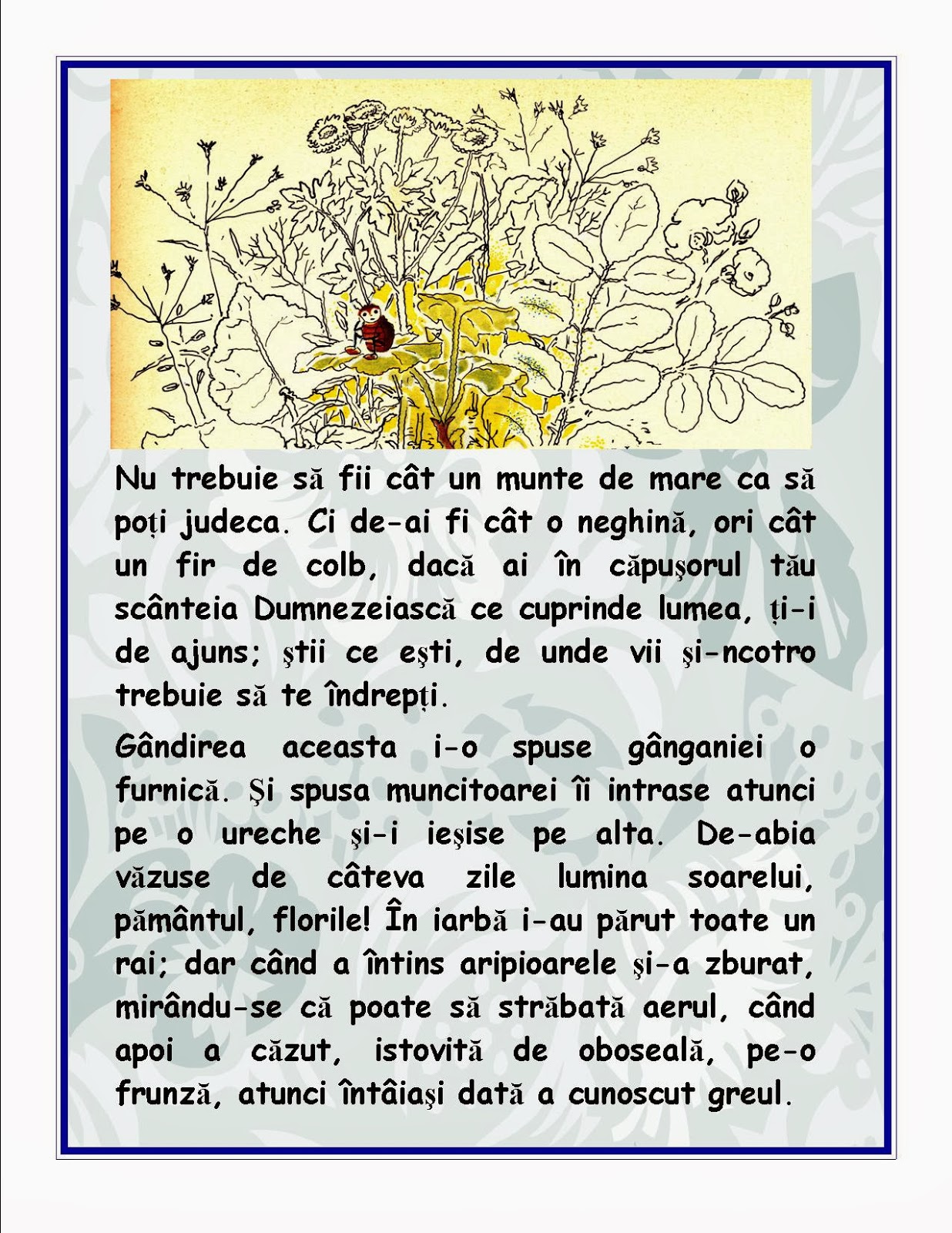Masha Cat Un Fir De Neghină De Emil Garleanu