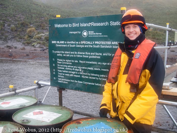 62 degrees south Antarctica 2012 Day 20 Bird Island