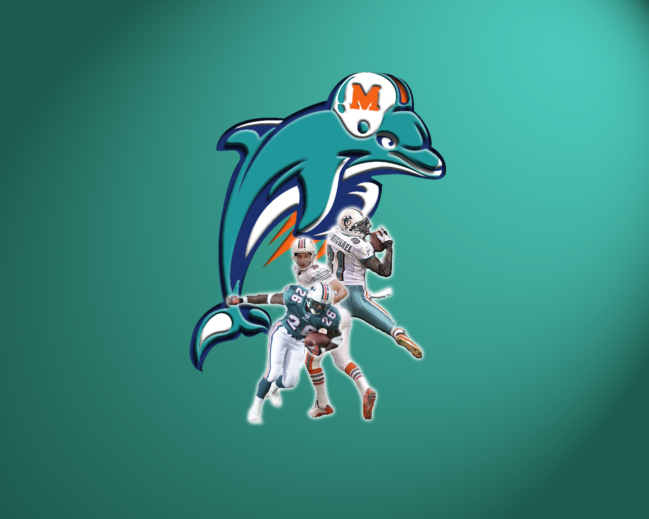 miami dolphin stuff