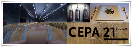 Bodegas-Cepa-21