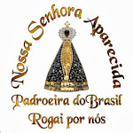 Este blog esta sob a proteção de Nossa Senhora Aparecida