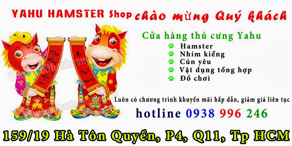 Hamster giá rẻ